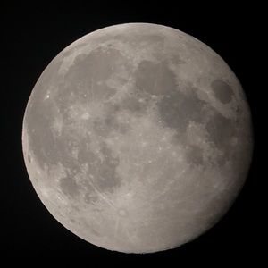 Meet your Posher, Lance